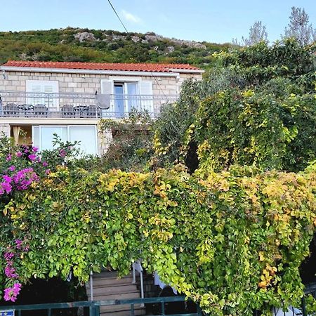 Tranquility And Nature In 4 Bedroom With Sea View Mokošica エクステリア 写真