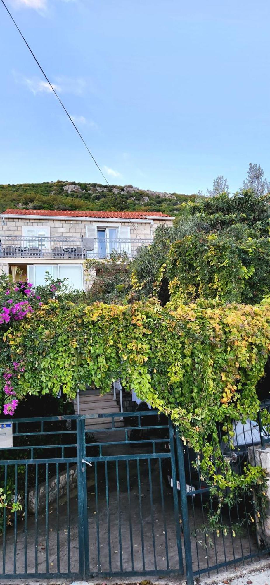 Tranquility And Nature In 4 Bedroom With Sea View Mokošica エクステリア 写真